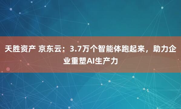 天胜资产 京东云：3.7万个智能体跑起来，助力企业重塑AI生产力