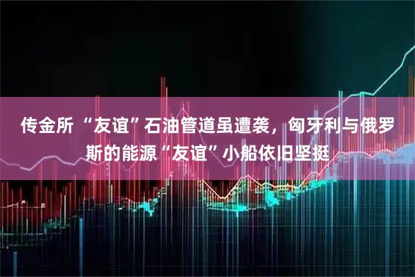 传金所 “友谊”石油管道虽遭袭，匈牙利与俄罗斯的能源“友谊”小船依旧坚挺