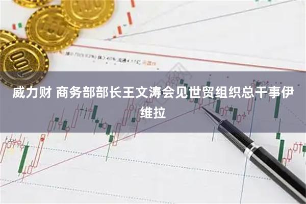 威力财 商务部部长王文涛会见世贸组织总干事伊维拉