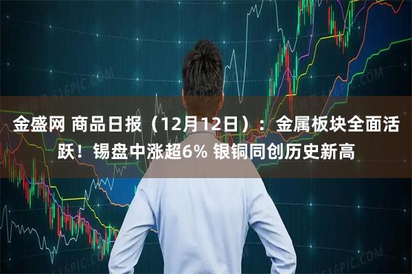 金盛网 商品日报（12月12日）：金属板块全面活跃！锡盘中涨超6% 银铜同创历史新高