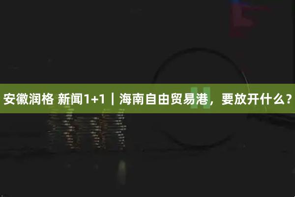 安徽润格 新闻1+1｜海南自由贸易港，要放开什么？